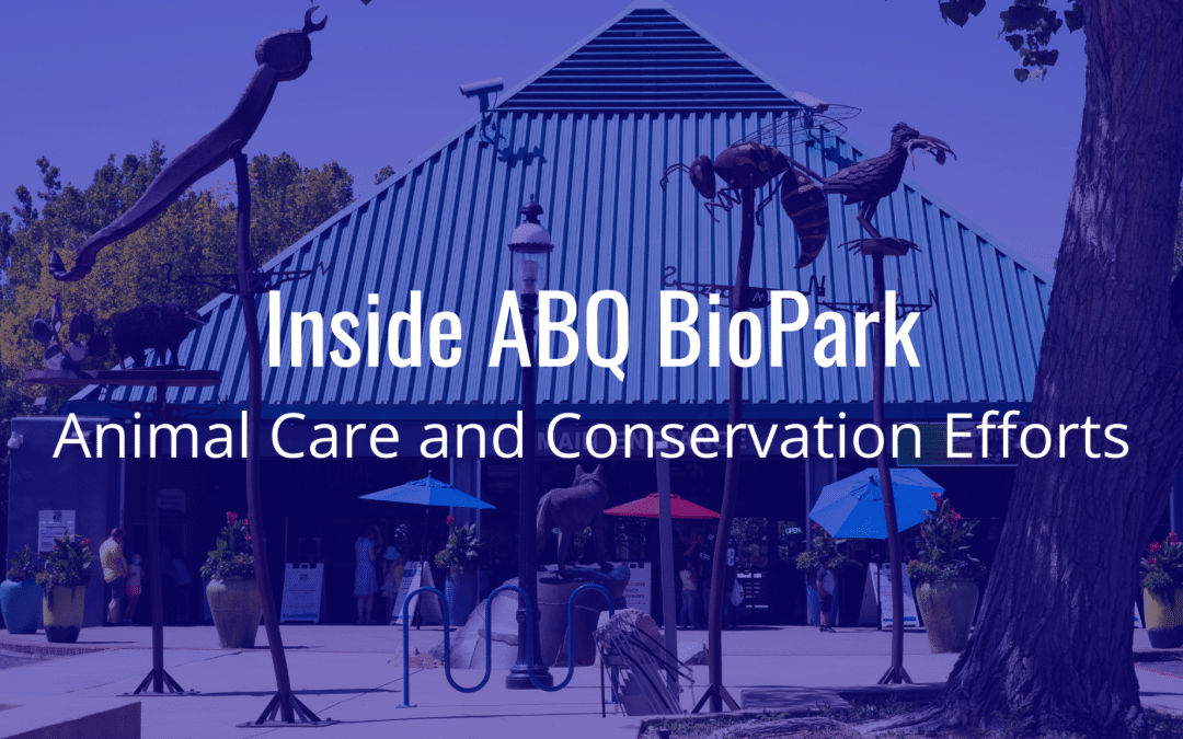 Inside ABQ BioPark: Animal Care and Conservation Efforts
