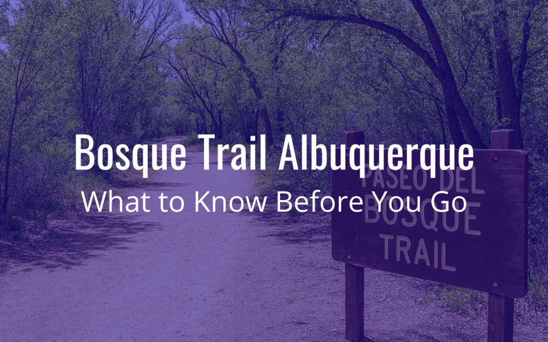 Bosque Trail Albuquerque: What to Know Before You Go
